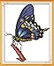 Maydear Full Range of Embroidery Starter Kits Stamped Cross Stitch Kits Beginners for DIY Embroidery 11CT 3 Strands - The Blue Butterfly 11.4×15.4(inch)