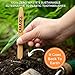 Natural Classic Bamboo Toothbrushes (Pack of 5) for Adults With Soft Bio-Based Nylon Bristles - Individually Packed & Numbered, Organic Compostable Plastic Free Packaging