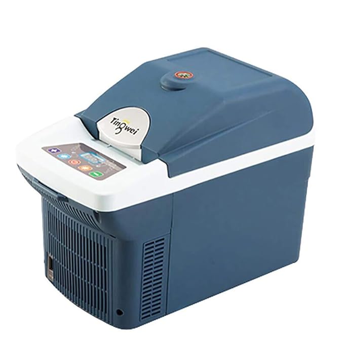 Kievy 6 litros Nevera Termoeléctrica Portátil para Coche Mini ...