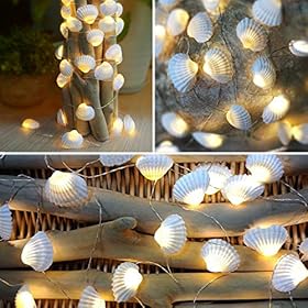 WSgift Natural Beach Seashell String Lights 13.85 Ft 40 Warm White LED Weatherproof Battery Operated 8 Modes Ocean… 51JgudOqmJL