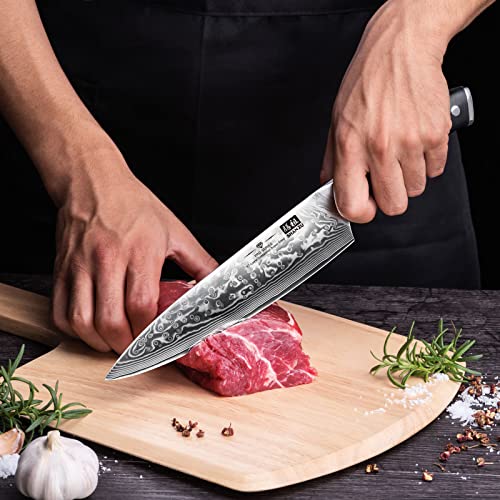SHAN ZU Chef Knife 8 Inch Japanese Steel Damascus Kitchen Knife, Professional Kitchen Knives Sharp High Carbon Super Steel 67 Layers Kitchen Utility Knife with G10 Handle