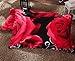 Lovelyou Red Rose Black Skin Cotton Queen Size 3d Print Bedding Set (1 Duvet Cover + 1 Bed Sheet + 2 Pillow Case)