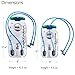 Mazama Dual Hydration Bladder 2 liter size. BPA Free Replacement Bladder fits Most Backpacks. Mfd. with USA Made Film- Two Chambers for Water and Electrolytes. for Hiking, Biking, & Running