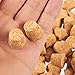 Size #4 Tapered Cork Plugs for Small Bottles and Test Tubes (0.6 x 0.47 x 0.5 in, 100 Pack)