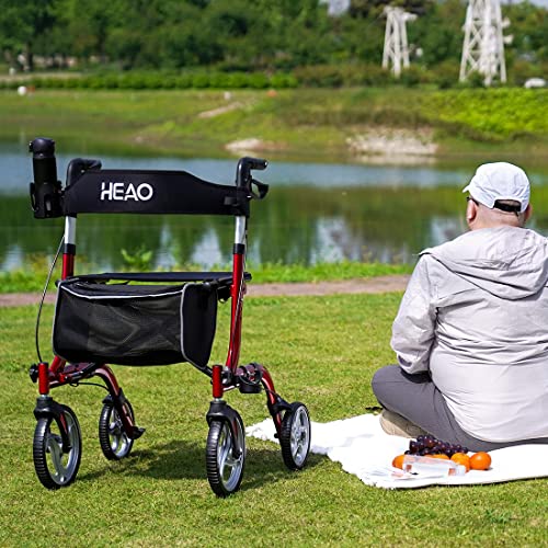 HEAO Rollator Walker for Seniors,10" Wheels Walker with Cup Holder