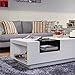 24/7 Shop at Home Milton Modern Rectangle Coffee Table with Storage, Matte Finish with Glass Window Shelf, 2 Open Shelves, Wooden Furniture for Living Room, Office, White & Black