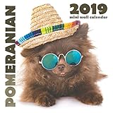Pomeranian 2019 Mini Wall Calendar by 