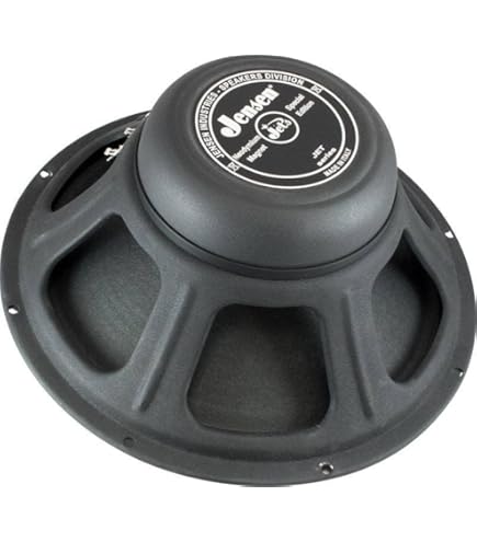 Amazon.com: Speaker - Jensen Vintage Neo, 12