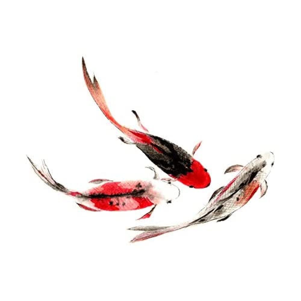 Wee Blue Coo Japanese Koi Fish Black And Red Art Print Canvas Premium Wall Decor Poster