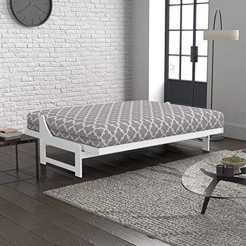 Nico Urban Loft Sleeper Sofa Collection by Nirvana Futons Full Size