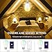 BrizLabs No Hub Required, with Google Assistant 806lm(60W Equivalent) A19 Turnable White and Color Ambiance Wi-Fi, Dimmable 9W LED Light Alexa Compatible, 2 Pack, Smart Bulbs-Multicolor