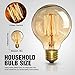 Vintage Light Bulb, Elfeland Antique Retro Edison Bulb 60w E26 E27 Medium Base Globe Incandescent Light Bulbs G80 Dimmable for Pendant Lighting Wall Sconces Ceiling Fan (2 Pack)