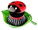 Vigar Ladybug Palm Dish Scrub Brush with Holder, Perfect Kitchen Brushes for Dishes, Sink Brush and Cleaning Brushes for Household Use, Red, Green
