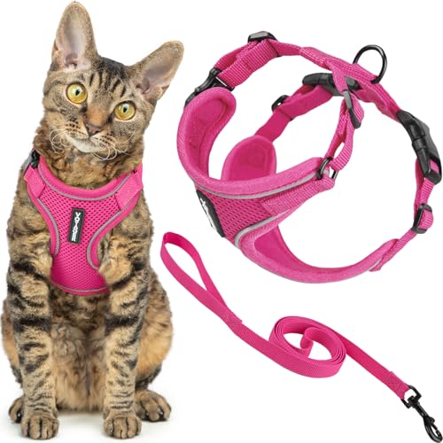 Voyager Escape Proof Cat Harness and Leash Set with Reflective Stitching, Neoprene Handle 5ft - Supports Small, Medium and Large Cats, Kittens for Walking by Best Pet Supplies - Fuchsia, S