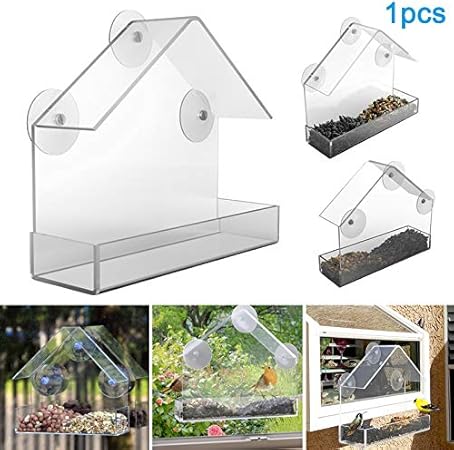 Amazon Com Verbena Hot Bird Feeding Transparent Bird