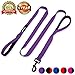 Tifereth Large-Medium Two-Double Handle Dog-Leash - Heavy Duty 6ft Foot Big Durable Nylon Padded Traffic Handle Leash for Medium to Large Dogs