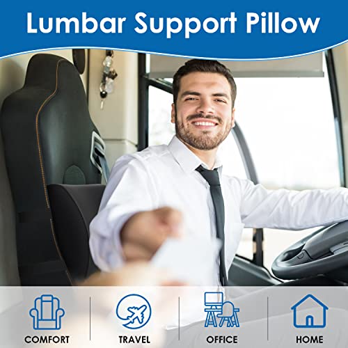 QUTOOL Lumbar Support Pillow for Office Chair Memory Foam Chair Back