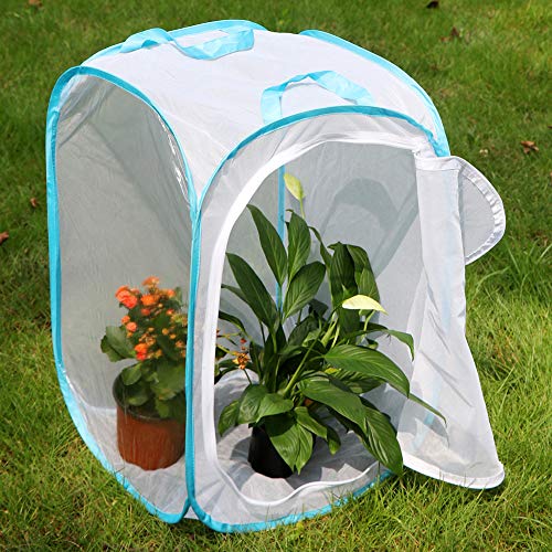 RESTCLOUD Science 36" Large Monarch Butterfly Habitat, Giant