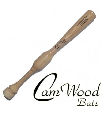 Rawlings Big Stick One-Hand Training Bat – Training