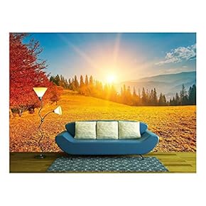 Colorful Autumn Landscape. Carpathian Mountains, Ukraine, Europe. - Removable Wall Mural | Self-Adhesive Large Wallpaper - 66x96 inches