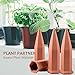Plant Watering Spikes, Kearui Set of 4 Terracotta Self Watering Stakes Automatic Plant Watering Devices System for Indoor Outdoor Vocation Plant Watering