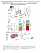 Netter's Illustrated Human Pathology Updated Edition: with Student Consult Access (Netter Basic Science)