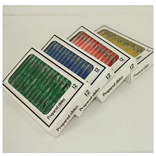 48pcs Animals Insects Plants Flowers Plastic Prepared Microscope Slides Meaningful Gift