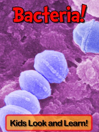 Bacteria! Learn About Bacteria and Enjoy Colorful Pictures - Look and Learn! (50+ Photos of Bacteria)
