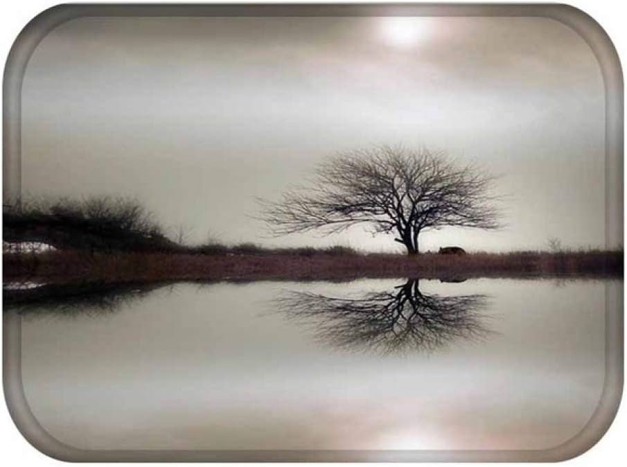 KFEKDT Nordic Creative Scenic Home Decor Welcome Door Mat Rugs Flannel Anti Slip Entrance Indoor Kitchen Bath Floormat Carpet No-17 40cmx60cm