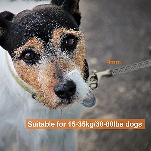 Oracha Heavy Duty Dog Leash - 4mm 4ft w/ Soft Padded Handle, Swivel Clip and Dog Poop Bags, Chew Proof Basic Lead for Small and Medium Pets up to 77lbs, Perfect For Dogs’ Walking and Traveling