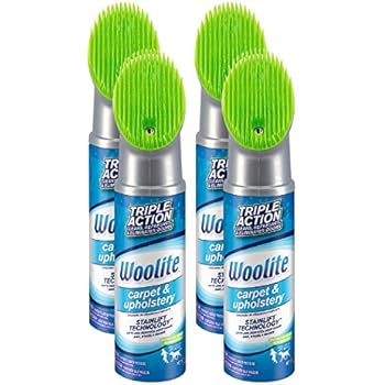 Amazon Com Woolite Carpet And Upholstery Cleaner Stain Remover 4