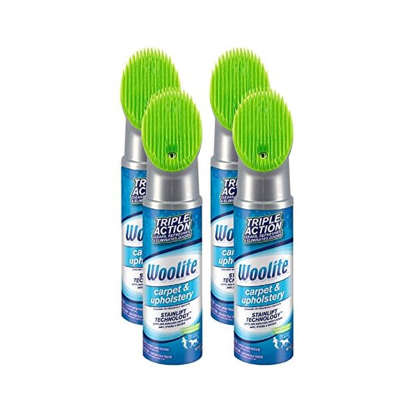 Woolite Carpet & Upholstery Foam Cleaner with FabricSafe Brush, 8352