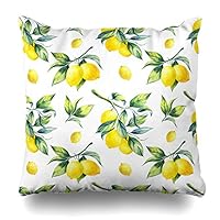 Ahawoso Decorative Throw Pillow Cover Green Watercolor Leaf Lemon Pattern On Food Hanging Drink Fruit Branch Tree Agriculture Botanical Zippered Design 20"x20" Square Home Decor Cushion Pillowcase
