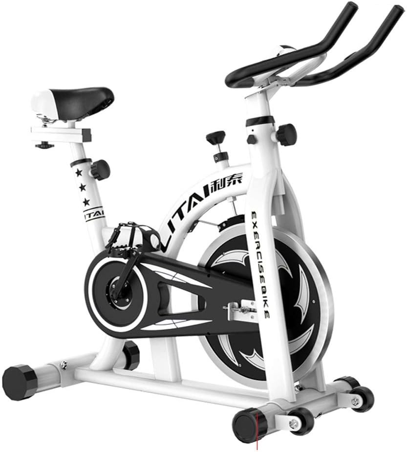 HOIHO Indoor Cycling Exercise Bike Spin Bicycle Training Bike Machines Adjustable Handlebars & Seat LCD Reads Speed, Distance, Time, Calories （20KG Flywheel）
