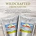 Best Botanicals Bladderwrack Herb Powder 16 oz.