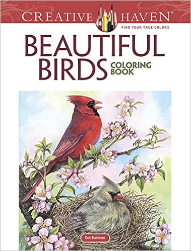 Creative Haven Beautiful Birds Coloring Book Creative Haven