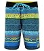 Microtek Boardshort