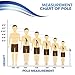 1 Wading Staff, Collapsible Pole, 3 Pieces, Light Weight Poles, Sticks for Hiking & Trekking