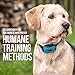 Guarantee2U- Anti Bark Collar For Small Medium & Large Dogs. No Citronella Bark Collar, Stop dog barking when Vibrating - Beeping