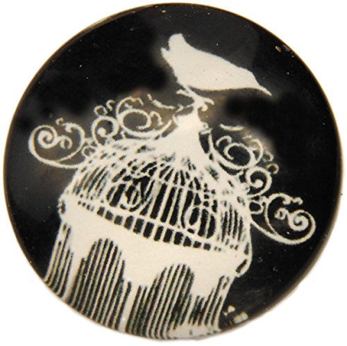 Unisex Bird with Bird Cage Glass Cabochon Brooch Antique Silver Color 25mm + FREE GIFT BAG