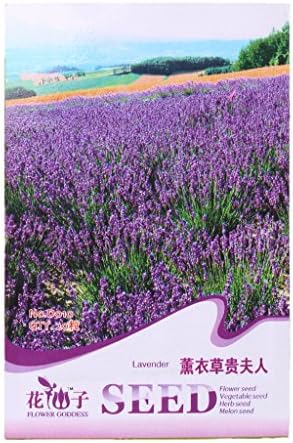 Hiking! Flower seeds - 1 Packet 20+ Seeds- Wildflower Seeds lavender Seeds - Open Pollinated Species