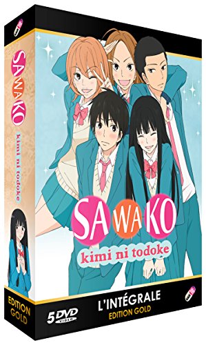 Kimi Ni Todoke (Sawako) - Intégrale Saison 1 - Édition Gold