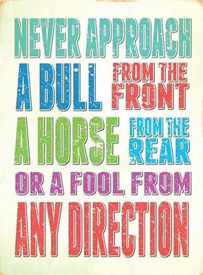 ART/ARTWORK - Licensed Collectibles, Vintage, Antique And Original Designs - LOVELY HUMOR THEMED HOME / OFFICE DECOR [3542180155] - "Never Approach .... [bull, horse, fool]" [lovely image and stylish design] - Artwork/Sign Is Paint On Metal [MSOMS]