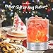 Himalayan Salt Lamp, Relassy Rock Salt Lamp Night Light Bluetooth Speaker with Dimmer, Natural Sea Salt Lamps with 2 Extra Bulbs for Home Decor, Holiday Gift
