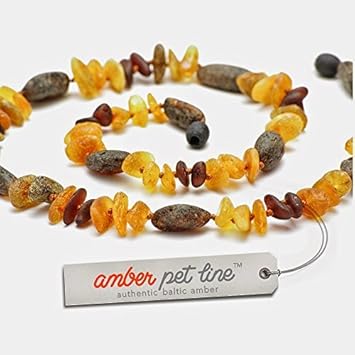 amber flea collar