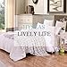 HYSEAS Flannel Fleece Star Throw Blanket Grey - Soft Plush Cozy Fuzzy Microfiber Blanket for Couch, Bed, Chair, Sofa - All Seasons Lightweight - 50x60 Inch