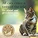 Taste of the Wild Canyon River Grain Free Protein Real Meat Recipe Natural Dry Cat Food with Real Trout & Smoked Salmon 15lb