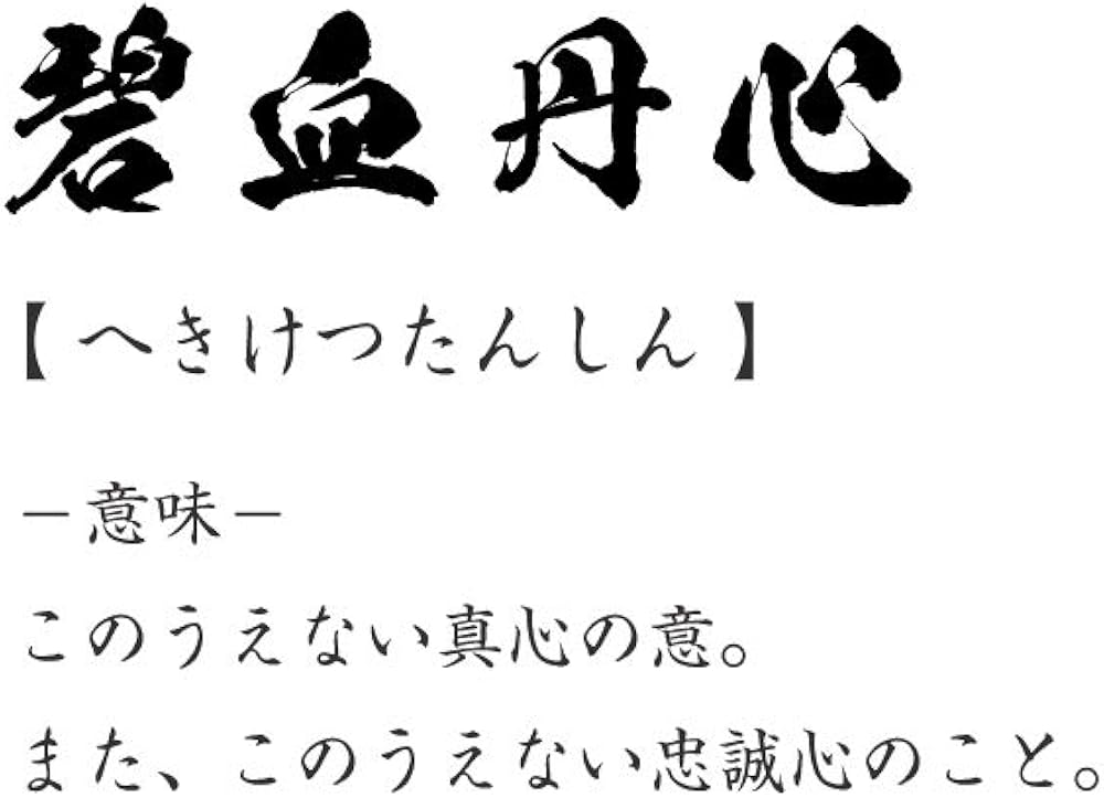 Amazon 碧血丹心 へきけつたんしん オリジナル Tシャツ 書道家が書く プリント Tシャツ 四字熟語 メンズ レディース キッズ オリジナルプリント 通販