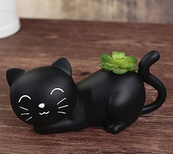 Yoil Decor Tirelire Tirelire Boîtes Cadeau Chat Noir Et