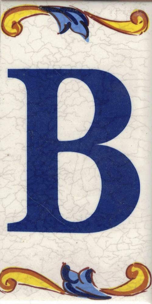 TORO DEL Oro House Numbers and Letters Tile Ceramic Calca Craquelé Style Names & Addresses Large Craquelé Design 7.5 x 15 cm, white